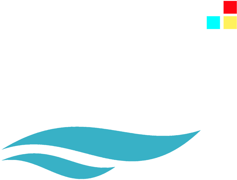 SSI